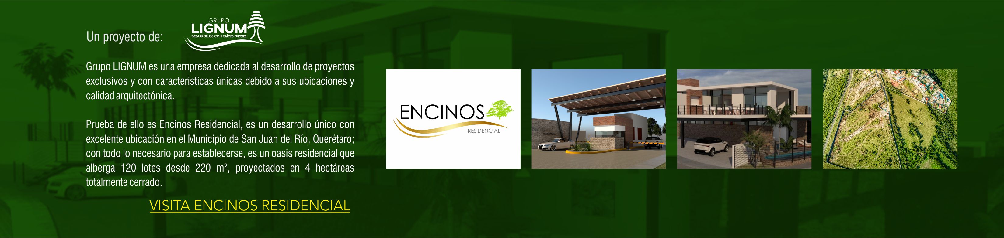 Residencial Encinos
